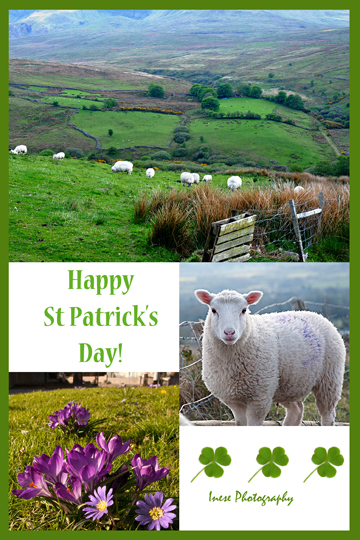 patrick_day_greeting_card