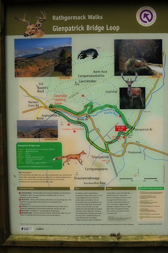 Gle_patrick_bridge_loop