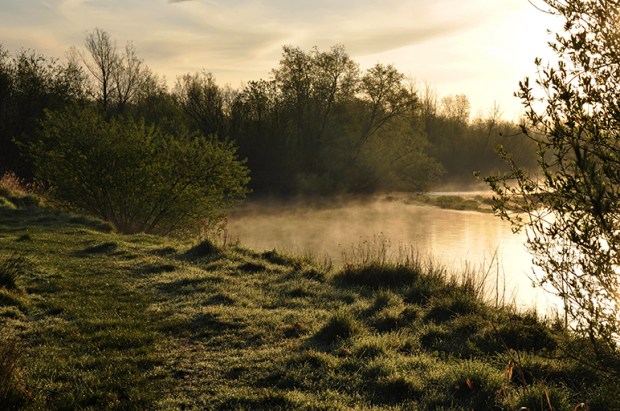 river_suir_fog