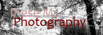 inese_mj_photography