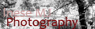 inese_mj_photography