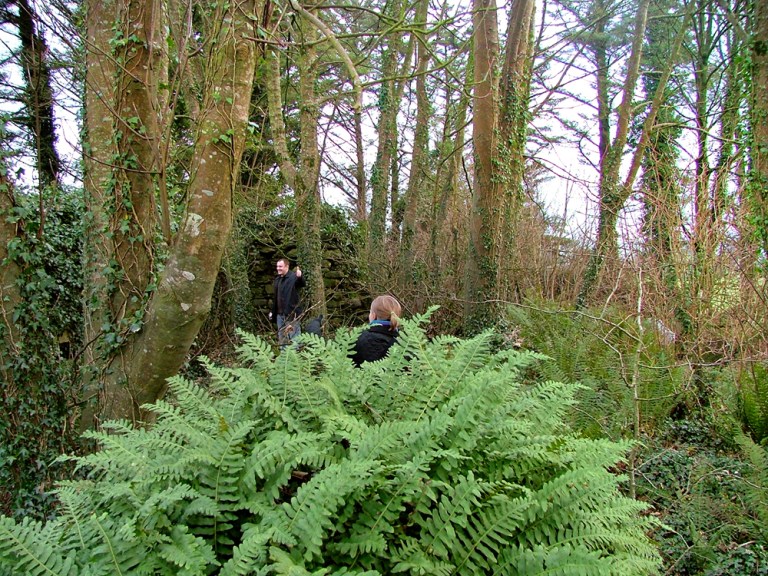Meet the Past: Dolmens and Fairy Raths | Making memories
