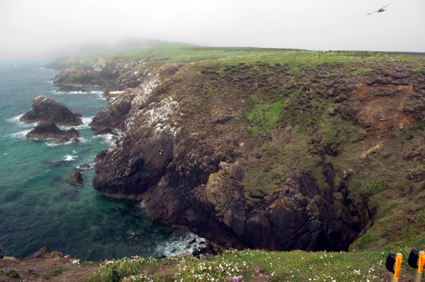 Saltee_Islands