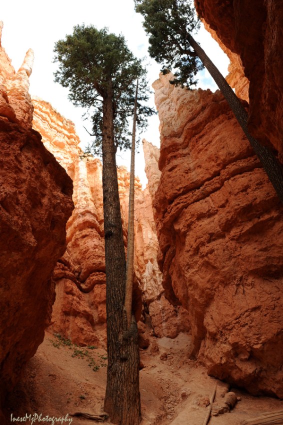 bryce canyon