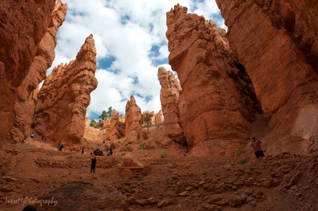 Bryce Canyon