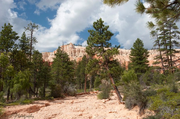 Bryce Canyon
