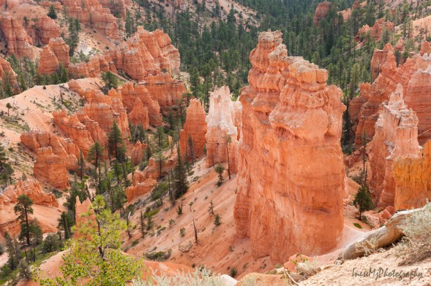 Bryce Canyon