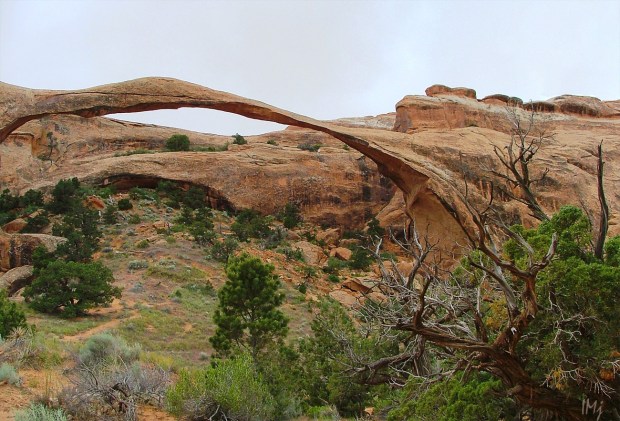 Arches