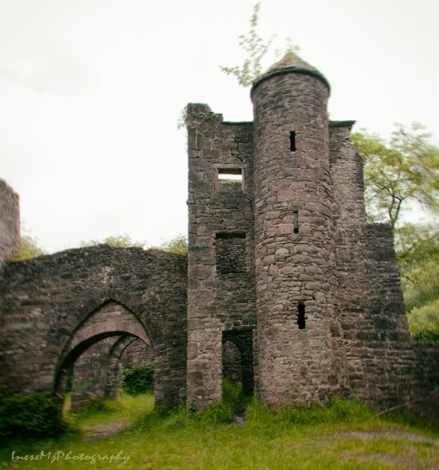 carey castle