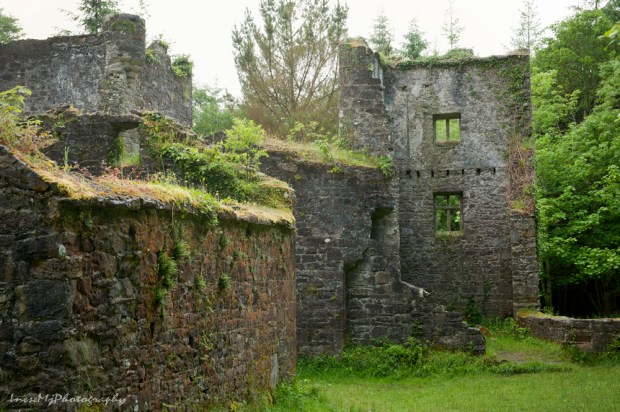 Carey castle