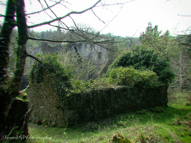 Carey castle