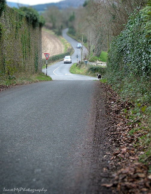 Marlfield road