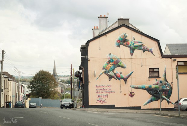 waterford walls