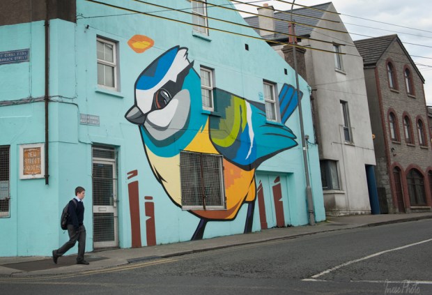waterford walls