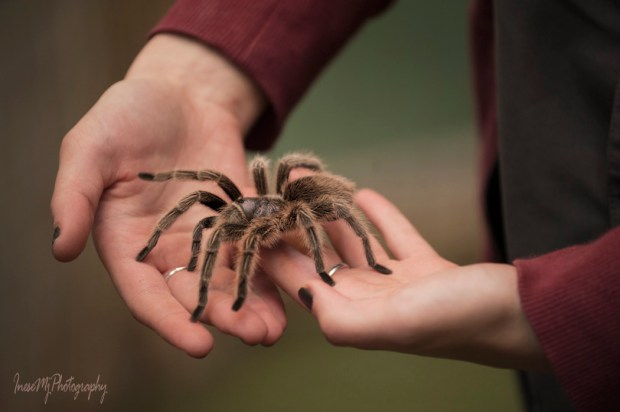 National Reptile Zoo