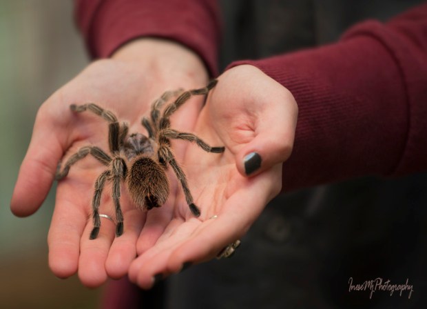 National Reptile Zoo