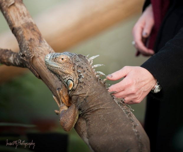 National Reptiie Zoo