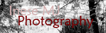 www.inesemjphotography.com