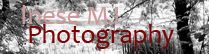 www.inesemjphotography.com